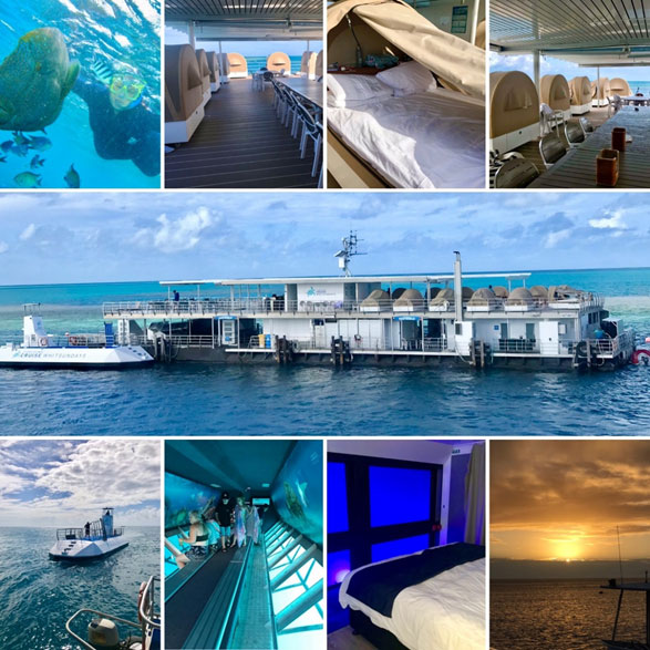 Deb's Whitsunday's Reef Sleep Experience